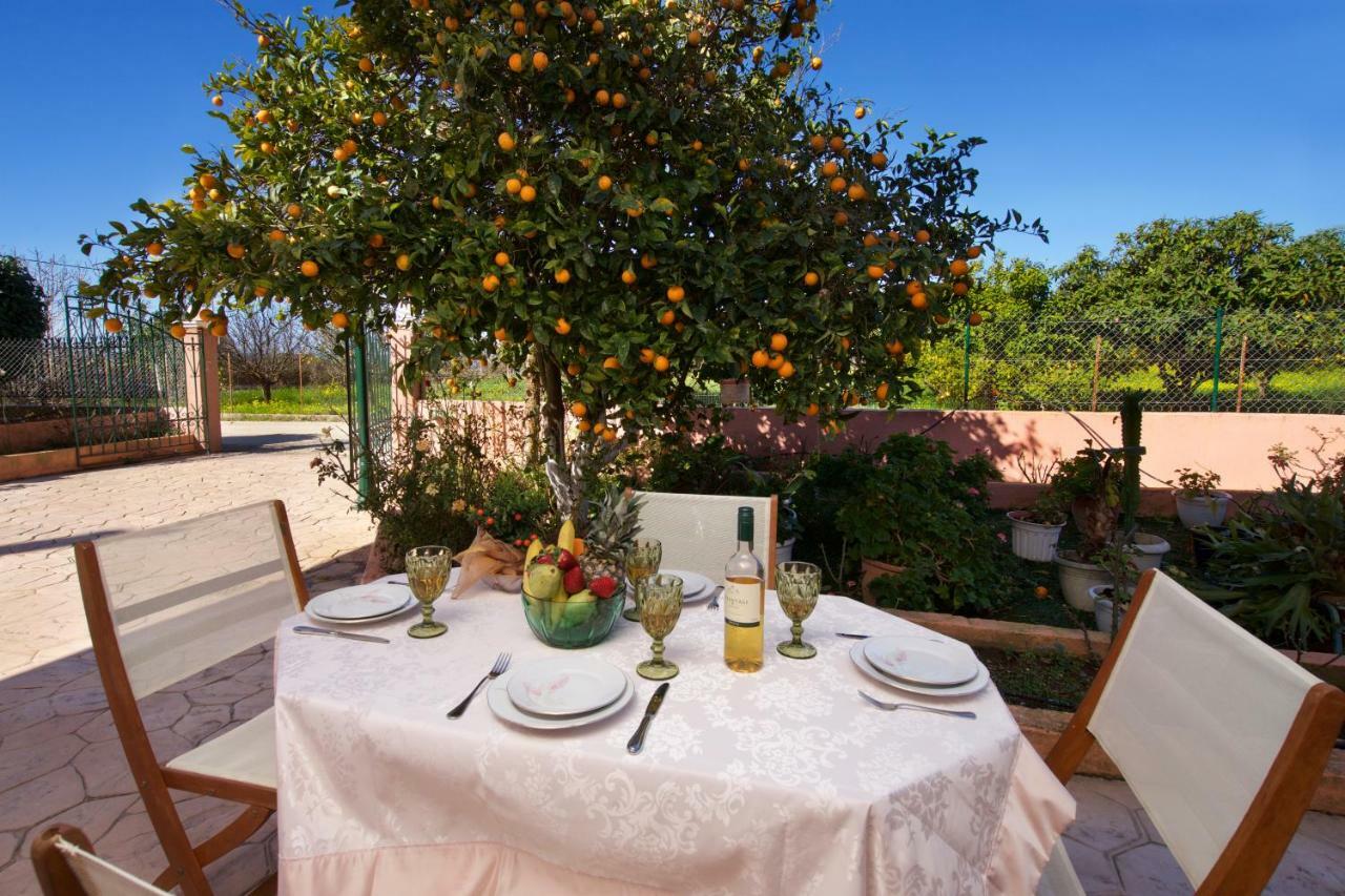 Artemis Superb 2 Bedroom Apartment 700 M Away From The Beach 米尼亚 外观 照片