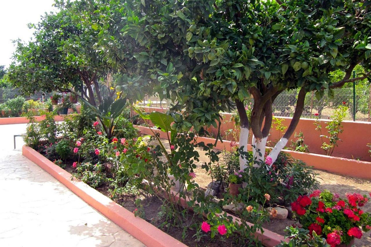 Artemis Superb 2 Bedroom Apartment 700 M Away From The Beach 米尼亚 外观 照片