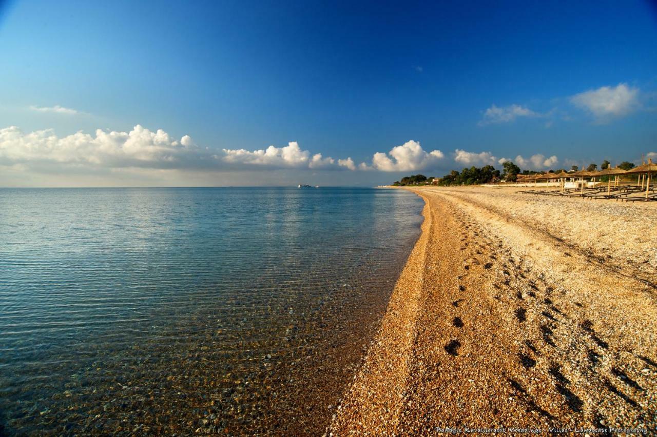 Artemis Superb 2 Bedroom Apartment 700 M Away From The Beach 米尼亚 外观 照片